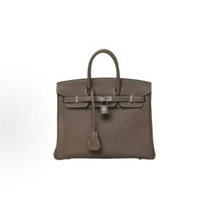 Hermes Birkin 25 Silver Buckle Platinum Bag Tote 25 Women's 18 Etoupe Elephant Grey