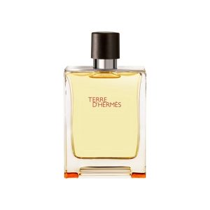 Terre D'hermes Parfum for Men by Hermes, 200 ml