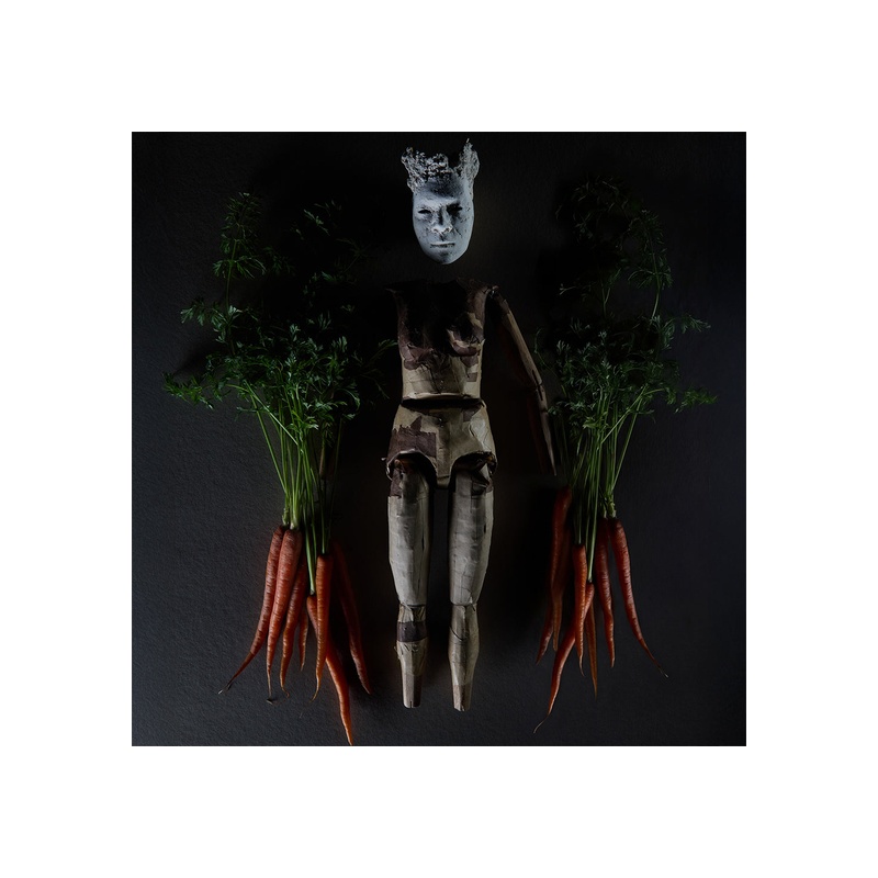 FOURTEEN CARROTS - 图片 6