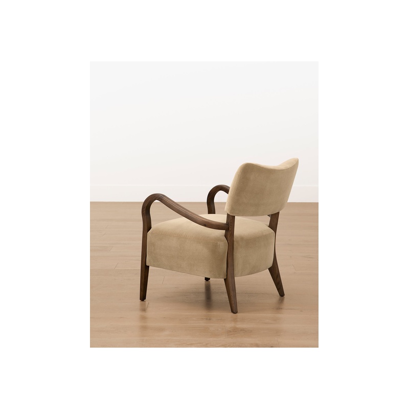 Etienne Lounge Chair - 图片 3