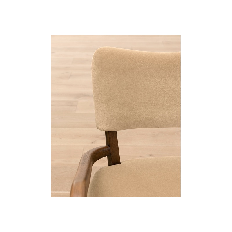 Etienne Lounge Chair - 图片 4