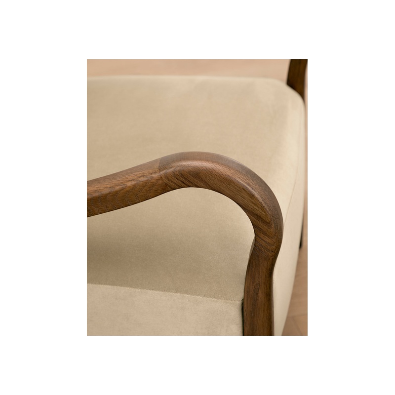Etienne Lounge Chair - 图片 5
