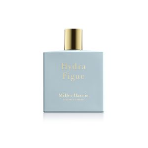 Hydra Figue