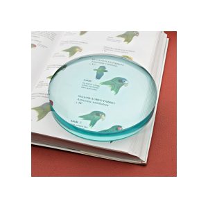 Large Desktop Magnifier