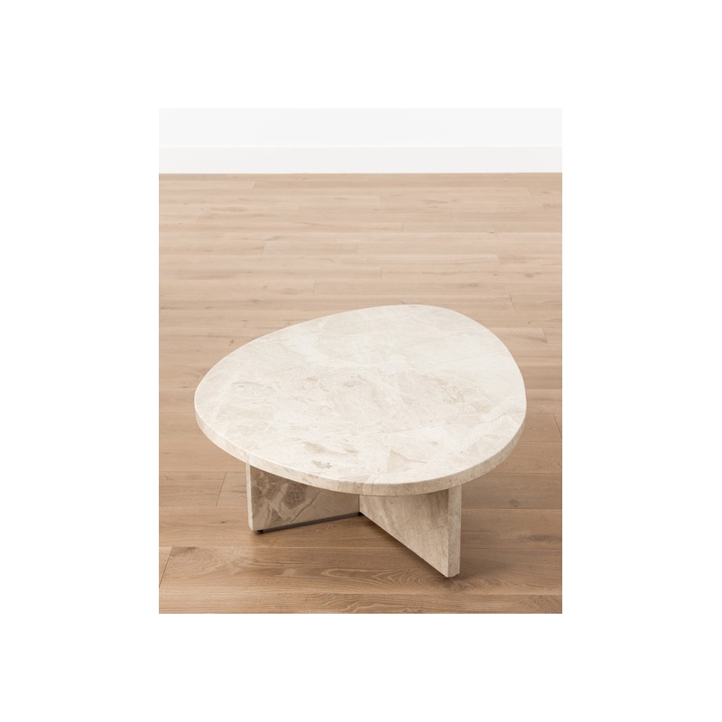 Cassius Coffee Table - 图片 5