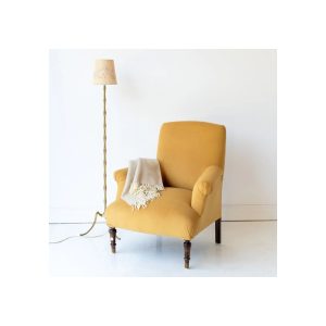 Velvet Napoleon III Arm Chair