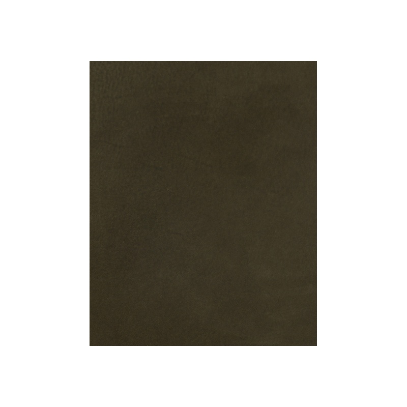 Elianna Ottoman - 图片 8